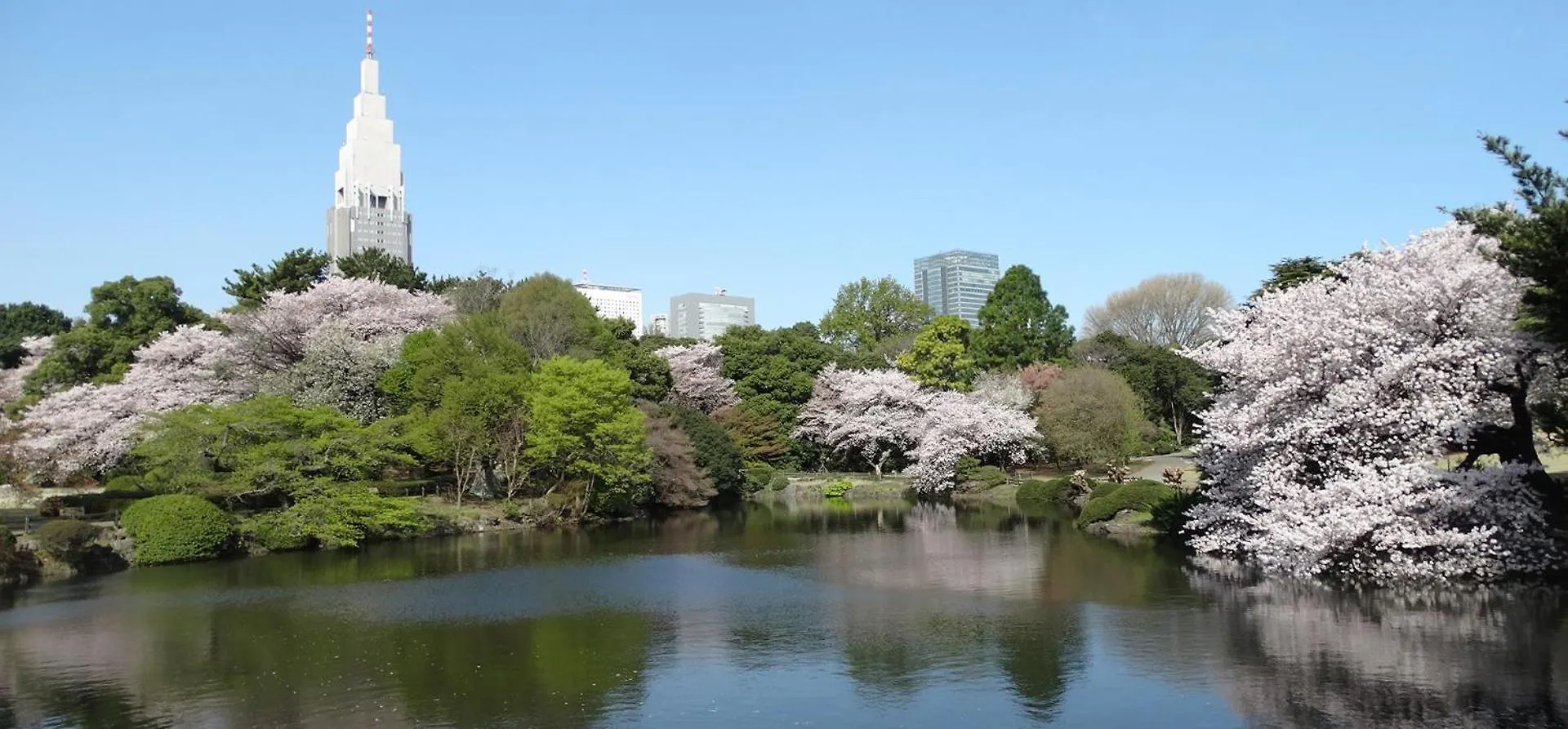 Tokyo Shinjuku East Studio With 2Beds